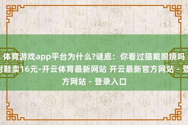 体育游戏app平台为什么?谜底：你看过猫戴眼镜吗8、一对鞋卖16元-开云体育最新网站 开云最新官方网站 - 登录入口