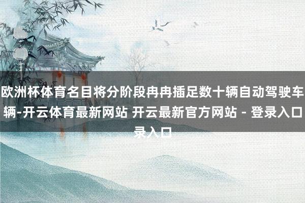 欧洲杯体育名目将分阶段冉冉插足数十辆自动驾驶车辆-开云体育最新网站 开云最新官方网站 - 登录入口