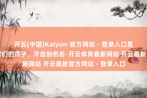 开云(中国)Kaiyun·官方网站 - 登录入口是以或然辰不防备被它们的爪子、牙齿刮伤后-开云体育最新网站 开云最新官方网站 - 登录入口
