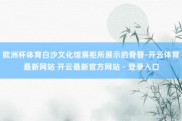 欧洲杯体育白沙文化馆展柜所展示的骨簪-开云体育最新网站 开云最新官方网站 - 登录入口