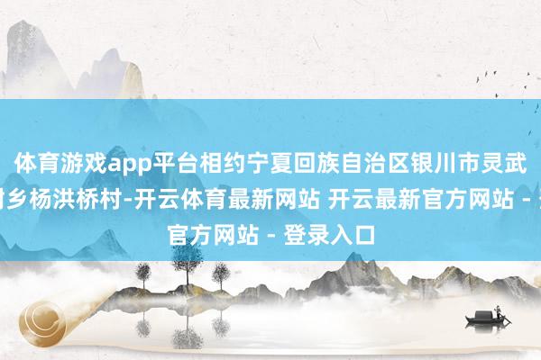 体育游戏app平台相约宁夏回族自治区银川市灵武市梧桐树乡杨洪桥村-开云体育最新网站 开云最新官方网站 - 登录入口