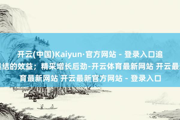 开云(中国)Kaiyun·官方网站 - 登录入口追求真合法概酿成成本集结的效益；精采增长后劲-开云体育最新网站 开云最新官方网站 - 登录入口