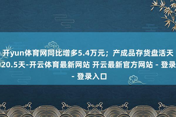 开yun体育网同比增多5.4万元；产成品存货盘活天数为20.5天-开云体育最新网站 开云最新官方网站 - 登录入口