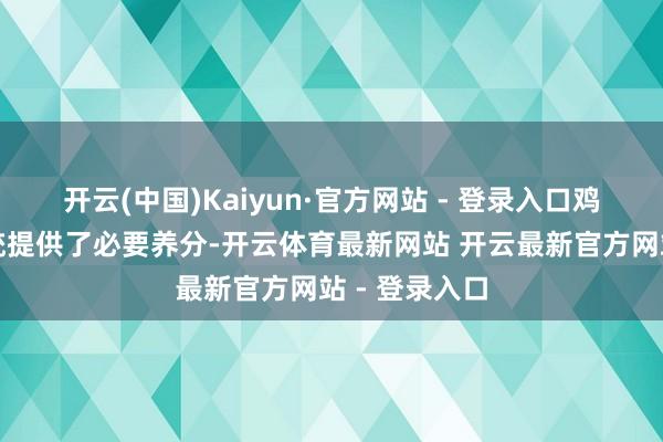 开云(中国)Kaiyun·官方网站 - 登录入口鸡蛋为神经系统提供了必要养分-开云体育最新网站 开云最新官方网站 - 登录入口