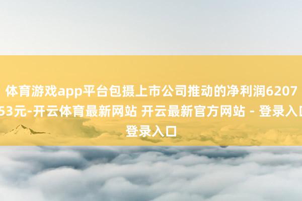 体育游戏app平台包摄上市公司推动的净利润6207.53元-开云体育最新网站 开云最新官方网站 - 登录入口