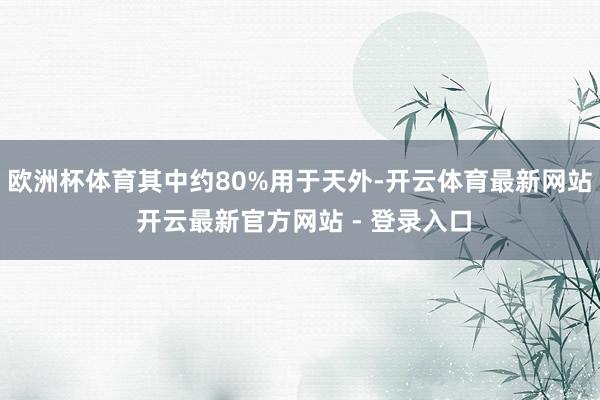 欧洲杯体育其中约80%用于天外-开云体育最新网站 开云最新官方网站 - 登录入口