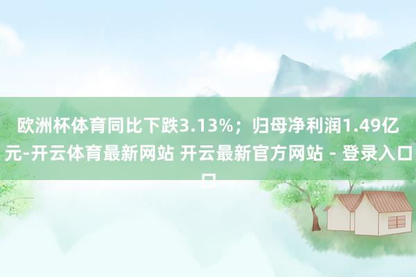 欧洲杯体育同比下跌3.13%；归母净利润1.49亿元-开云体育最新网站 开云最新官方网站 - 登录入口
