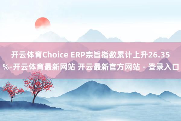 开云体育Choice ERP宗旨指数累计上升26.35%-开云体育最新网站 开云最新官方网站 - 登录入口