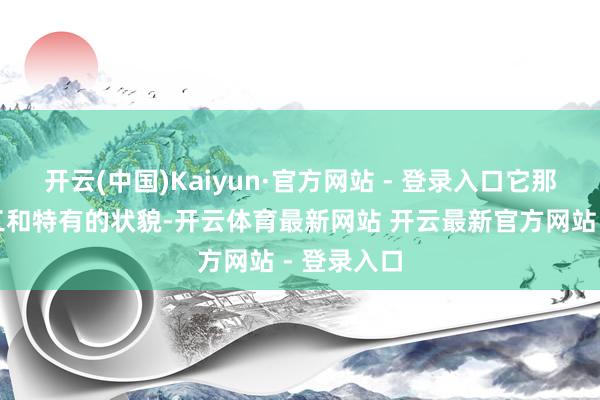 开云(中国)Kaiyun·官方网站 - 登录入口它那精细的绣工和特有的状貌-开云体育最新网站 开云最新官方网站 - 登录入口