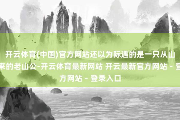 开云体育(中国)官方网站还以为际遇的是一只从山上跑下来的老山公-开云体育最新网站 开云最新官方网站 - 登录入口