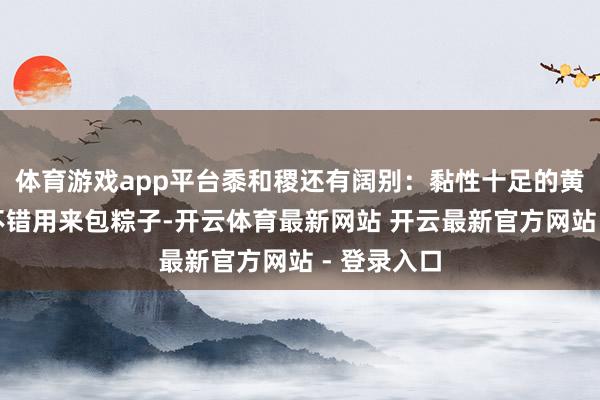 体育游戏app平台黍和稷还有阔别：黏性十足的黄米（黍）不错用来包粽子-开云体育最新网站 开云最新官方网站 - 登录入口
